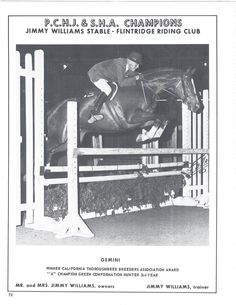 017ae17829ba878bcdb41a7d4e19b9cf