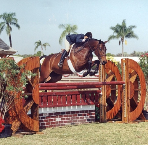 tumblr_nsc3xgxpnA1ti9q3oo1_500