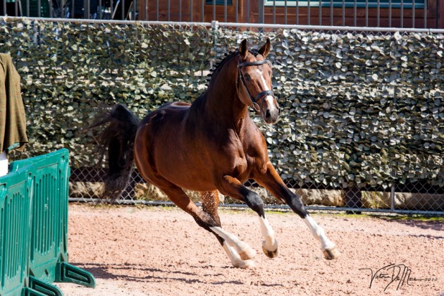 3yearoldinhandwinner_90_vdp_7470web