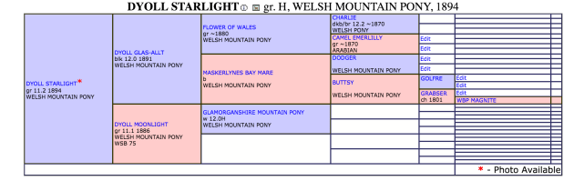 screen-shot-2016-11-27-at-11-00-36-am