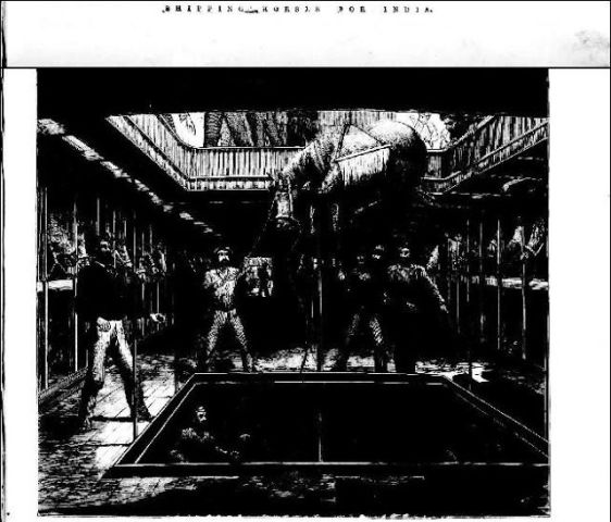 shipping-for-india-compressor