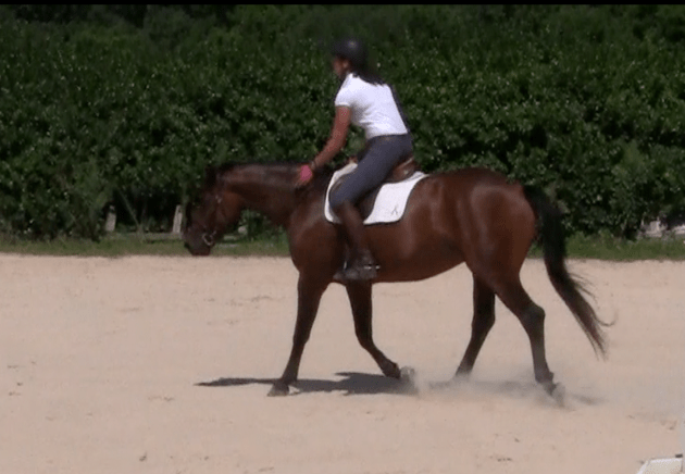 Screen Shot 2017-03-19 at 1.26.49 PM