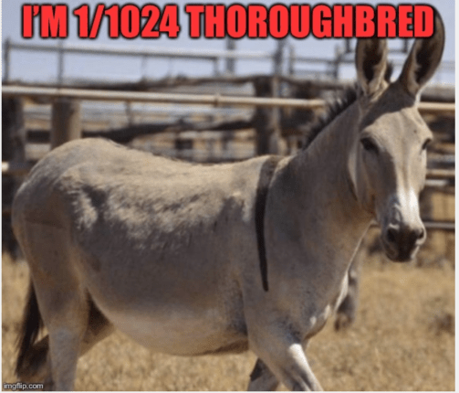 Screen Shot 2019-12-15 at 9.15.33 AM